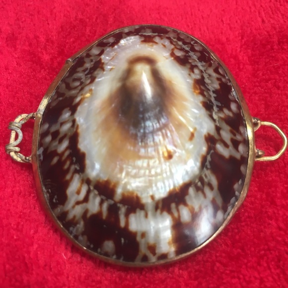 Unique Shell Locket/Box - Picture 2 of 7